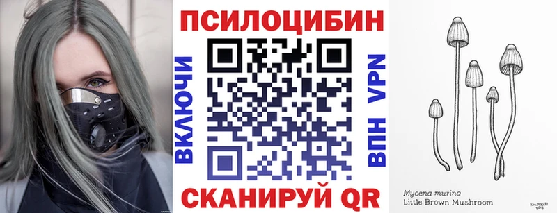 Псилоцибиновые грибы GOLDEN TEACHER  Калач 